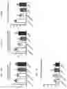 Fig. 23 - Collagen hydrolysates as a beneficial prebiotic and their effect on joint inflammation and osteoarthritis