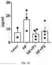 Fig. 27 - Collagen hydrolysates as a beneficial prebiotic and their effect on joint inflammation and osteoarthritis