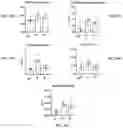 Fig. 29 - Collagen hydrolysates as a beneficial prebiotic and their effect on joint inflammation and osteoarthritis