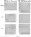Fig. 30 - Collagen hydrolysates as a beneficial prebiotic and their effect on joint inflammation and osteoarthritis
