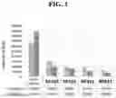 Fig. 02 - Peptides having immunomodulatory properties
