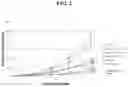 Fig. 03 - Peptides having immunomodulatory properties