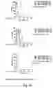 Fig. 05 - COMPETITIVE INHIBITORS OF INVARIANT CHAIN EXPRESSION AND/OR ECTOPIC CLIP BINDING
