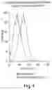 Fig. 08 - COMPETITIVE INHIBITORS OF INVARIANT CHAIN EXPRESSION AND/OR ECTOPIC CLIP BINDING