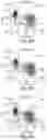 Fig. 13 - COMPETITIVE INHIBITORS OF INVARIANT CHAIN EXPRESSION AND/OR ECTOPIC CLIP BINDING
