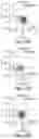Fig. 14 - COMPETITIVE INHIBITORS OF INVARIANT CHAIN EXPRESSION AND/OR ECTOPIC CLIP BINDING