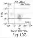 Fig. 16 - COMPETITIVE INHIBITORS OF INVARIANT CHAIN EXPRESSION AND/OR ECTOPIC CLIP BINDING