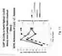 Fig. 19 - COMPETITIVE INHIBITORS OF INVARIANT CHAIN EXPRESSION AND/OR ECTOPIC CLIP BINDING