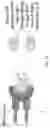 Fig. 27 - COMPETITIVE INHIBITORS OF INVARIANT CHAIN EXPRESSION AND/OR ECTOPIC CLIP BINDING