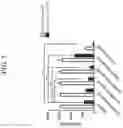 Fig. 06 - Methods of treating inflammatory disorders with multivalent Fc compounds