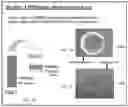 Fig. 02 - Inhibiting sprout angiogenesis