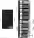 Fig. 09 - ANTIMICROBIAL COMPOSITIONS AND FORMULATIONS