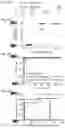 Fig. 12 - PLANT-EXPRESSED COCAINE HYDROLASE VARIANTS OF BUTYRYLCHOLINESTERASE AND METHODS OF REDUCING COCAINE-PRIMED REINSTATEMENT