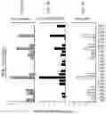 Fig. 04 - Combination immunotherapy compositions against cancer and methods