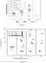 Fig. 03 - Compositions and methods comprising KLK3 or FOLH1 antigen