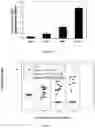 Fig. 09 - Compositions and methods comprising KLK3 or FOLH1 antigen