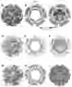 Fig. 08 - Norovirus S particle based vaccines and methods of making and using same