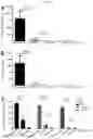 Fig. 11 - Norovirus S particle based vaccines and methods of making and using same