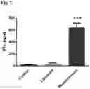 Fig. 03 - Compositions and methods for enhancing innate immunity in a subject for treatment of infections and cancer and other acute and chronic conditions of the eye