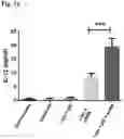 Fig. 17 - Compositions and methods for enhancing innate immunity in a subject for treatment of infections and cancer and other acute and chronic conditions of the eye