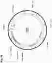 Fig. 35 - Compositions and methods for enhancing innate immunity in a subject for treatment of infections and cancer and other acute and chronic conditions of the eye