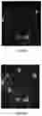 Fig. 08 - Enhanced Selective Cellular Stimulation by Ultrasound
