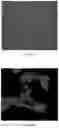 Fig. 09 - Enhanced Selective Cellular Stimulation by Ultrasound
