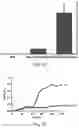 Fig. 10 - Enhanced Selective Cellular Stimulation by Ultrasound