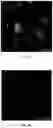 Fig. 12 - Enhanced Selective Cellular Stimulation by Ultrasound