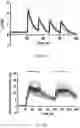 Fig. 14 - Enhanced Selective Cellular Stimulation by Ultrasound