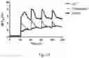 Fig. 18 - Enhanced Selective Cellular Stimulation by Ultrasound