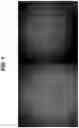 Fig. 02 - Buffered formulations of exendin (9-39)