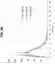 Fig. 08 - Buffered formulations of exendin (9-39)