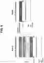 Fig. 09 - Buffered formulations of exendin (9-39)