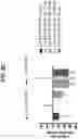 Fig. 16 - Buffered formulations of exendin (9-39)