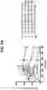 Fig. 17 - Buffered formulations of exendin (9-39)