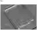 Fig. 02 - COLLAGEN MATERIAL AND METHOD FOR PRODUCING COLLAGEN MATERIAL