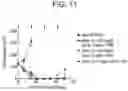 Fig. 09 - Therapeutic dendrimers