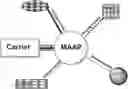 Fig. 01 - Peptide-based multiple-drug delivery vehicle