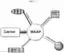 Fig. 02 - Peptide-based multiple-drug delivery vehicle