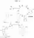 Fig. 05 - Peptide-based multiple-drug delivery vehicle