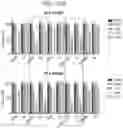 Fig. 13 - Peptide-based multiple-drug delivery vehicle