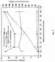 Fig. 06 - Peptidic self-assembly for nucleic acid delivery