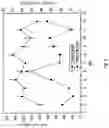Fig. 07 - Peptidic self-assembly for nucleic acid delivery