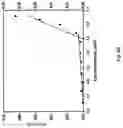 Fig. 08 - Peptidic self-assembly for nucleic acid delivery