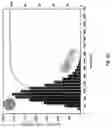 Fig. 10 - Peptidic self-assembly for nucleic acid delivery