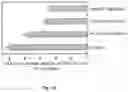 Fig. 26 - Peptidic self-assembly for nucleic acid delivery