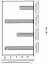 Fig. 28 - Peptidic self-assembly for nucleic acid delivery
