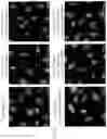 Fig. 32 - Peptidic self-assembly for nucleic acid delivery