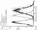 Fig. 33 - Peptidic self-assembly for nucleic acid delivery